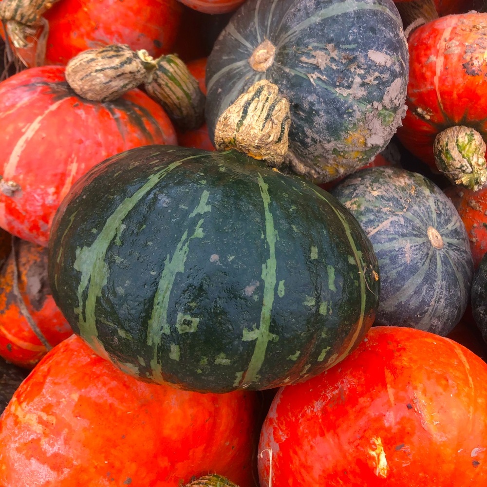 Hi! I'm Hannah. I’ve got some great outdoor gear!